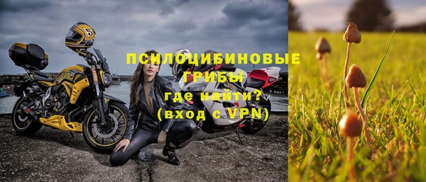 прущая мука Дмитриев